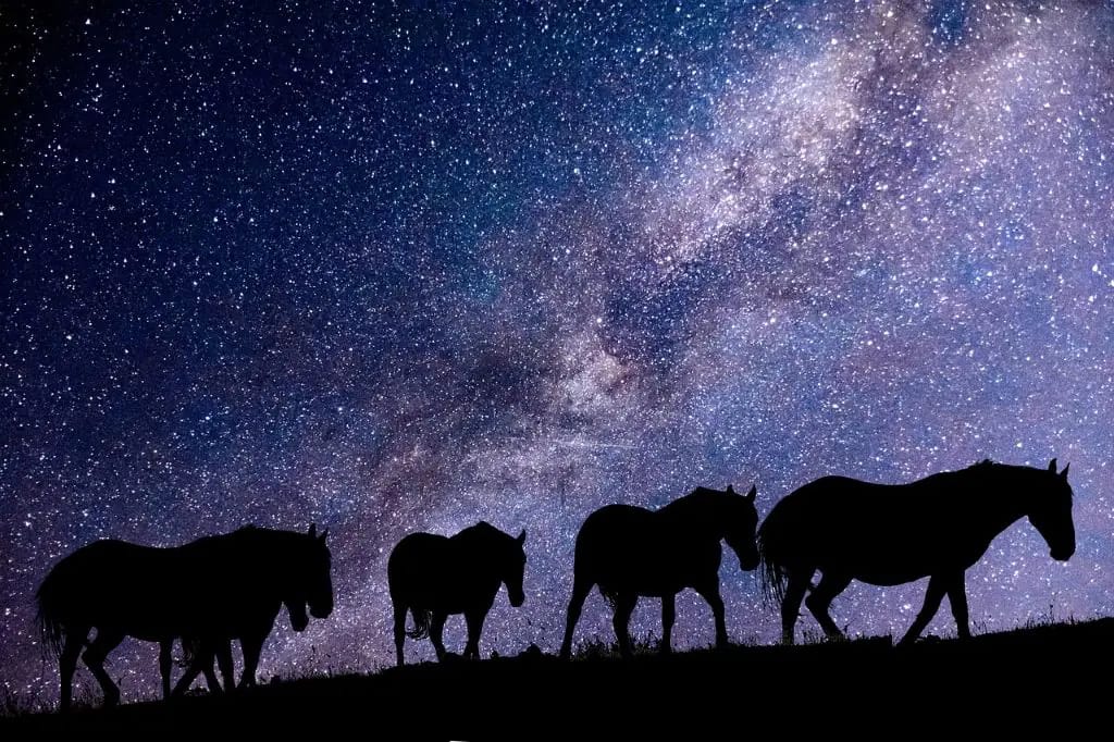 Noches de la Yeguada