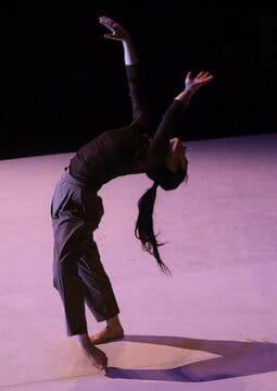 IX Temporada de Dansa - Mutar, romper, vibrar