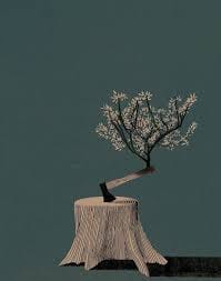 Exilio y Literatura: Una mirada transnacional y desintelectualizadora