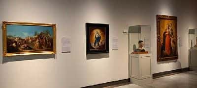 La belleza del conocimiento. Donación Enrique Carlos Martín Rodríguez (2026)