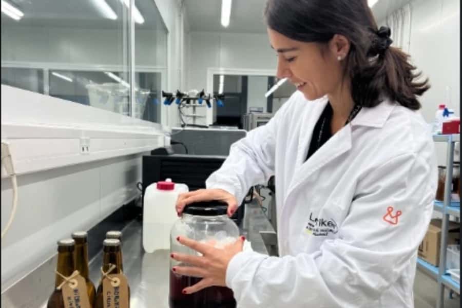 Fermentaciones fúngicas aplicadas a la alimentación