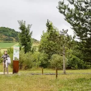 Participa de las labores de jardinería y seguimiento del Jardín Botánico de Olarizu