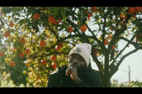 Proyección del documental 'Frutos amargos (The Pickers)'
