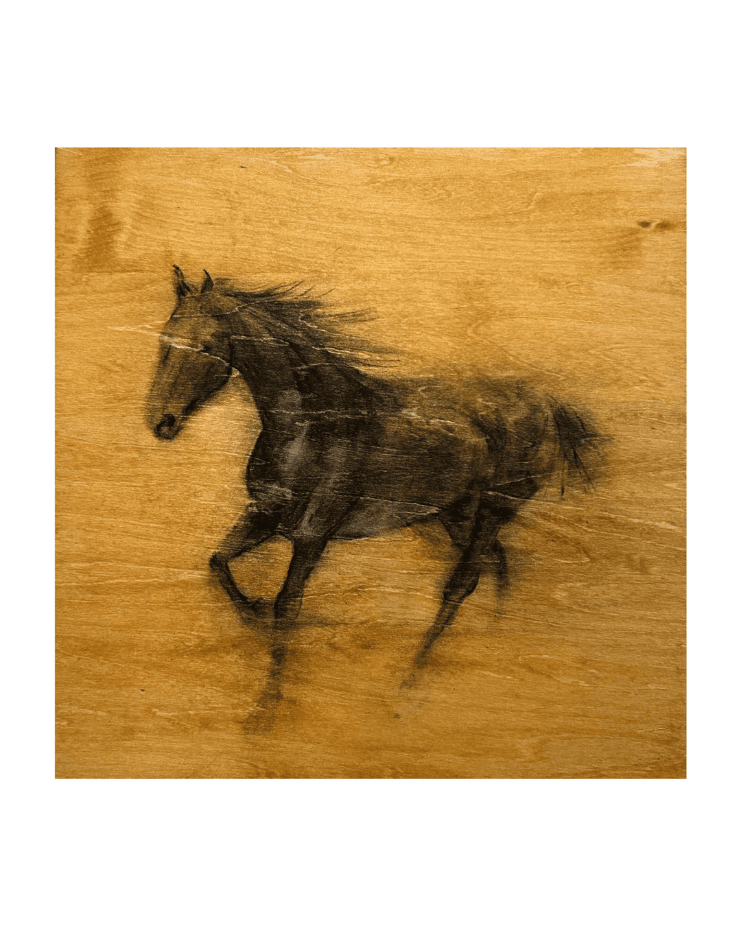 Traces of Being: Stories in Ink and Coffee