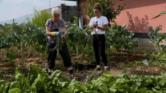 Proyección de Grelei raíces no teu lar