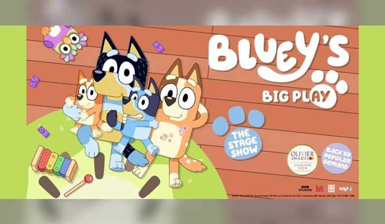 Bluey's Big Play