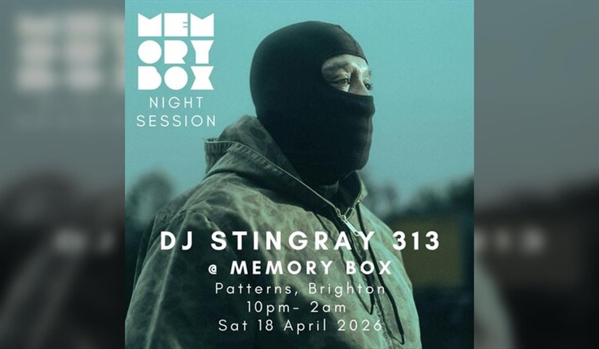 Memory Box with DJ Stingray 313