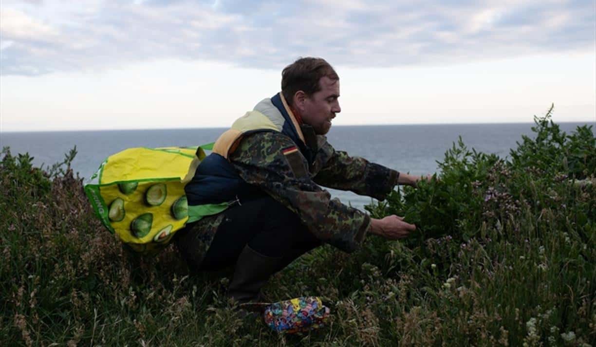 Uncover Brighton’s Coast Through Foraging