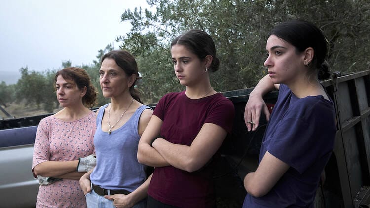 Proyección de la película 'Los tortuga'