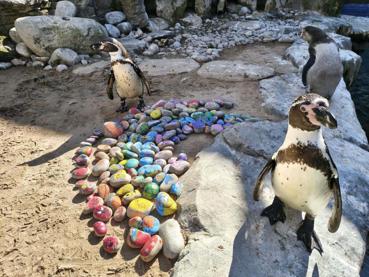 Oceanarium Conservation Talk