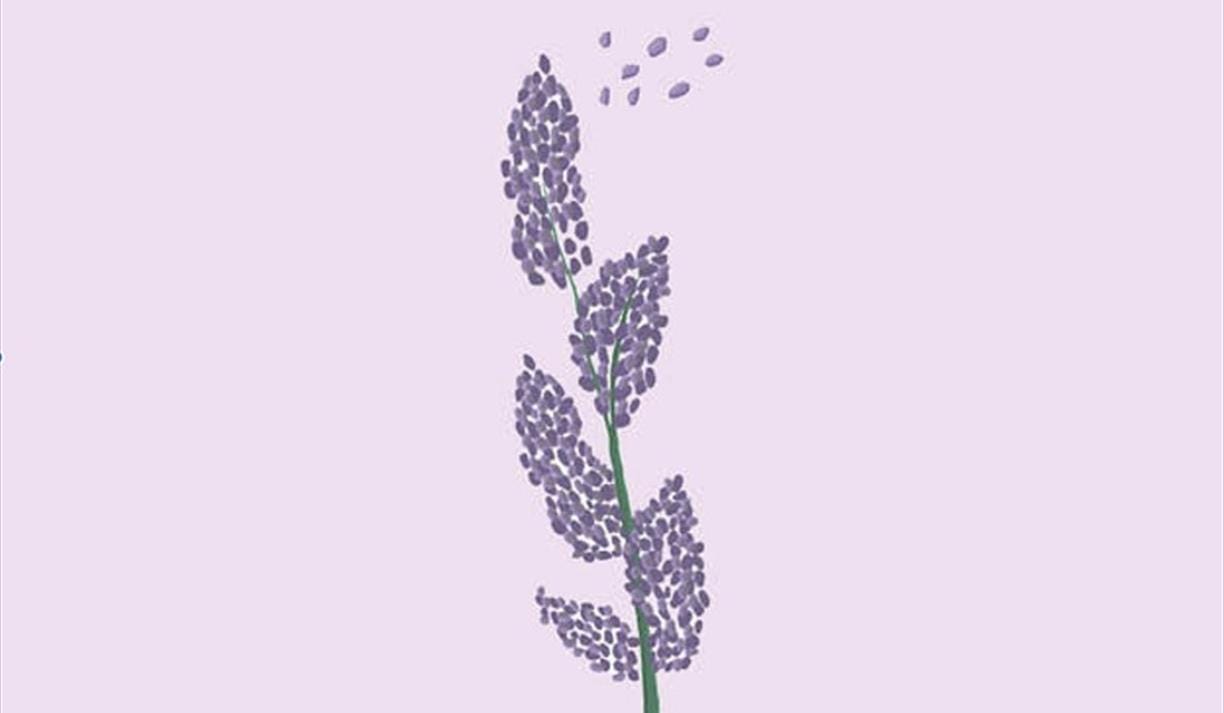 Your Lavender Life Part II: Secrets in the Woodwork