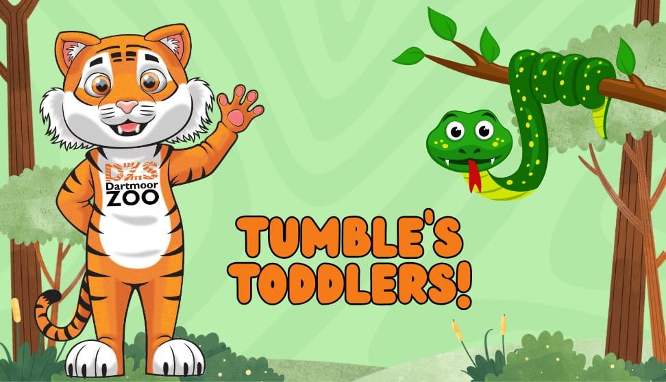 Tumble's Toddlers
