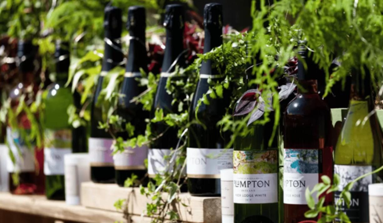 English Cheese & Wine Tasting with Plumpton Estate