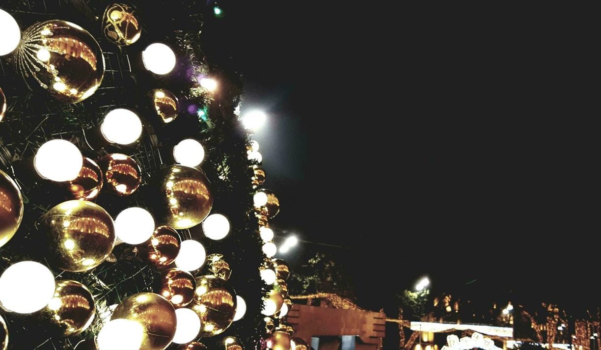 Santa's Grotto 2026