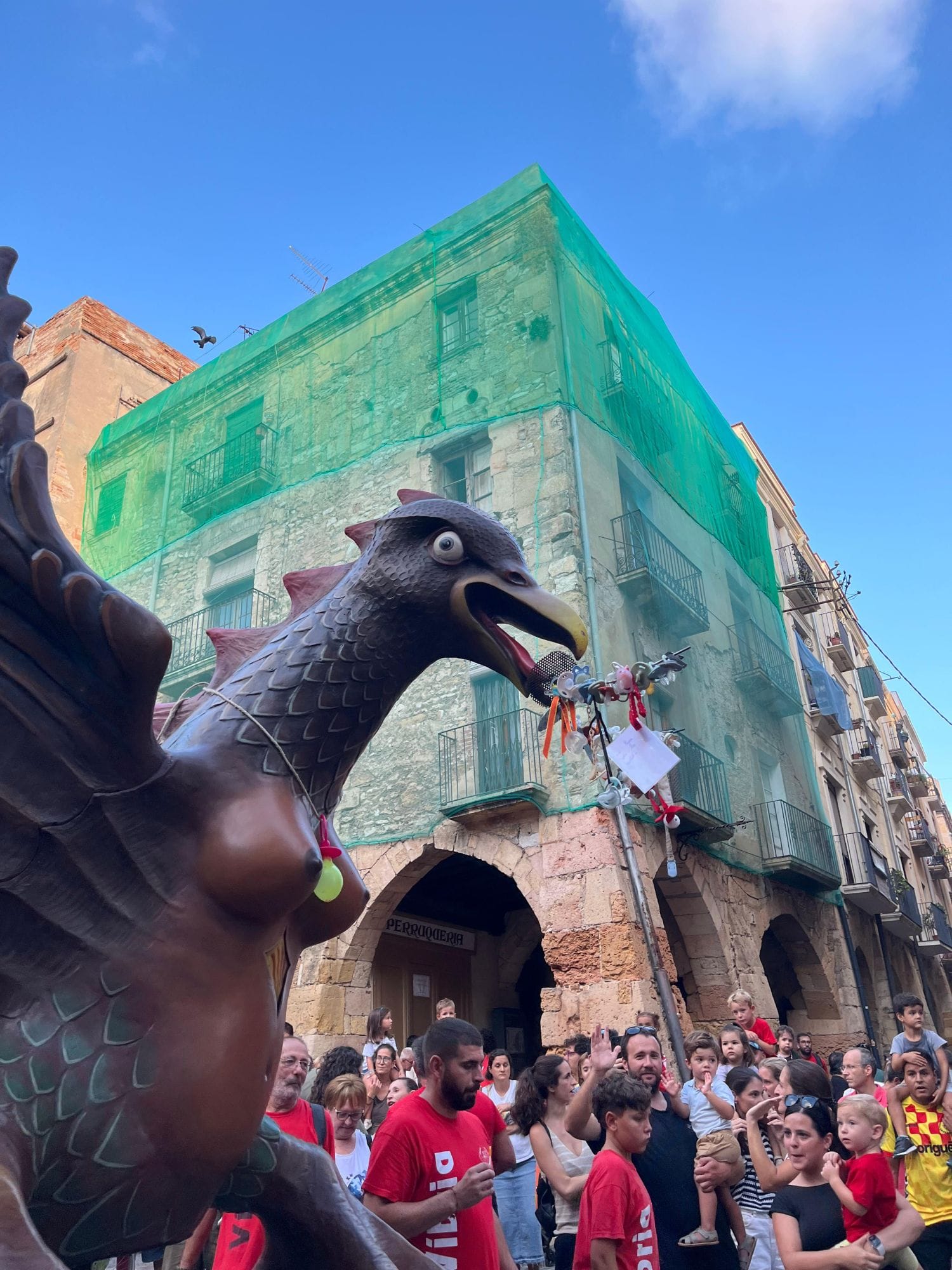 Fes-te gran i dona el xumet a la Víbria
