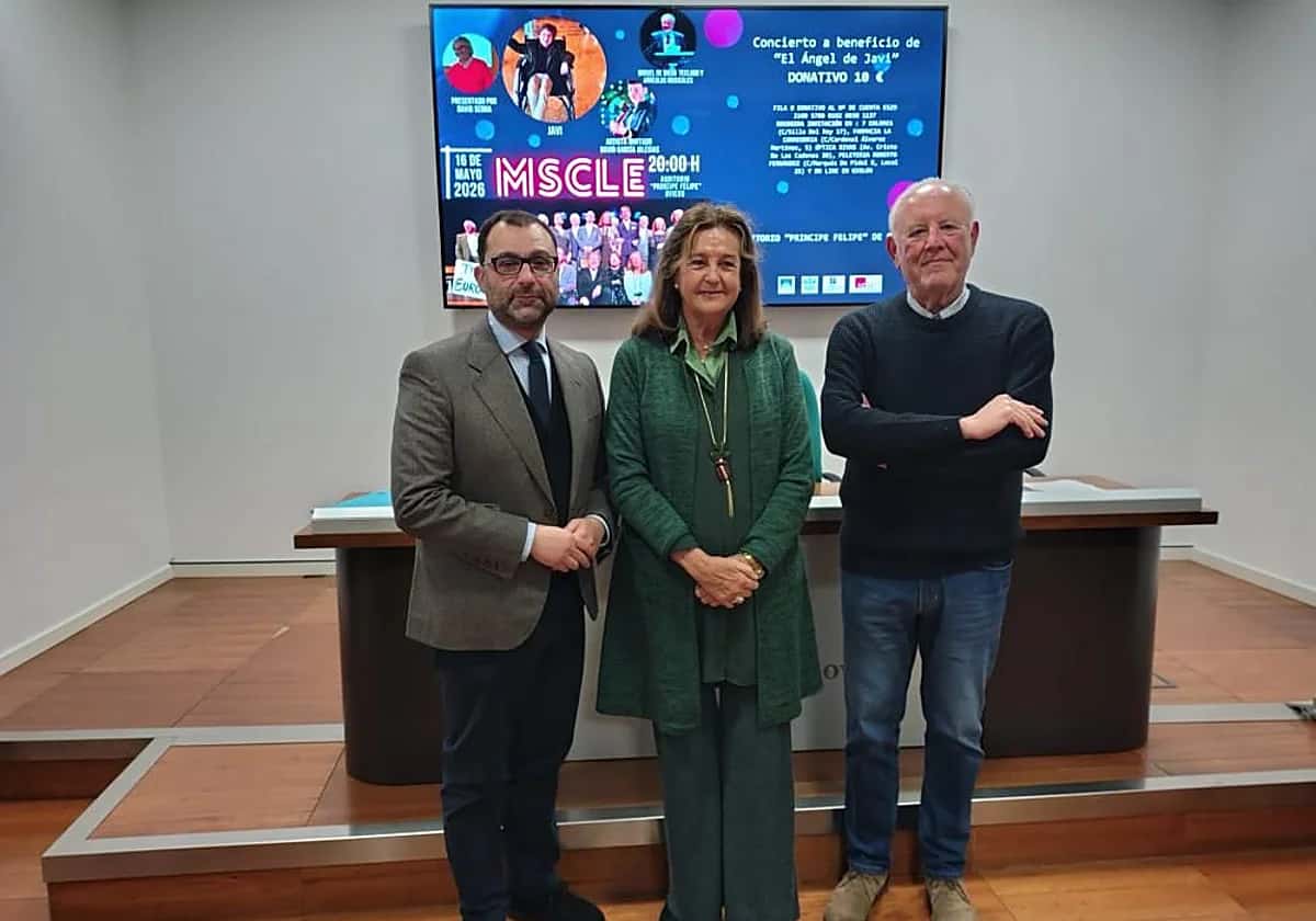 Concierto tributo a Eurovisión a favor de El Ángel de Javi