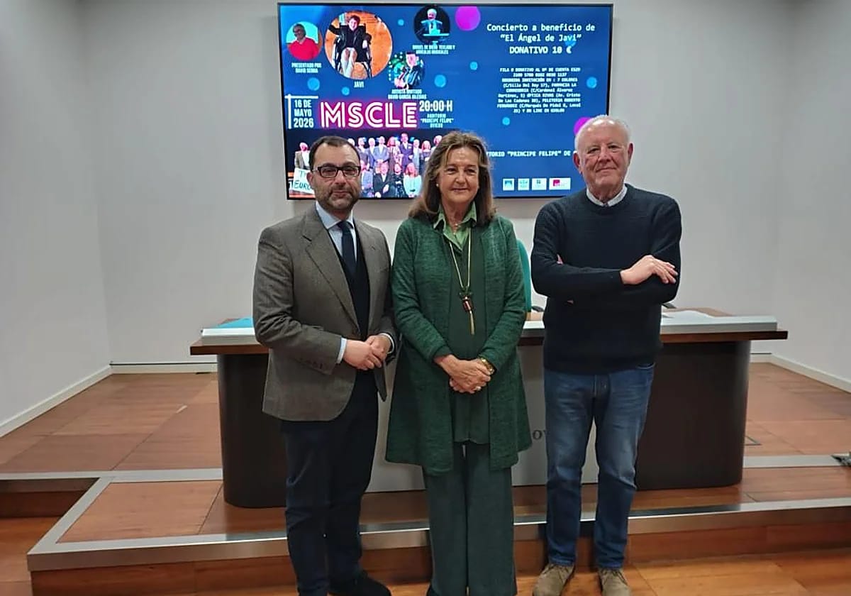 Concierto tributo a Eurovisión a favor de El Ángel de Javi