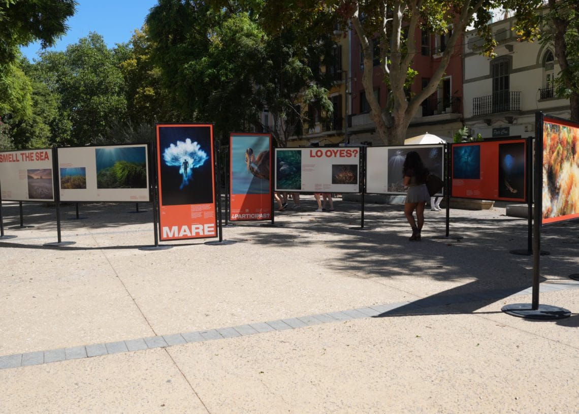 Exposición 'Feim un capfic?' de MARE FOTO