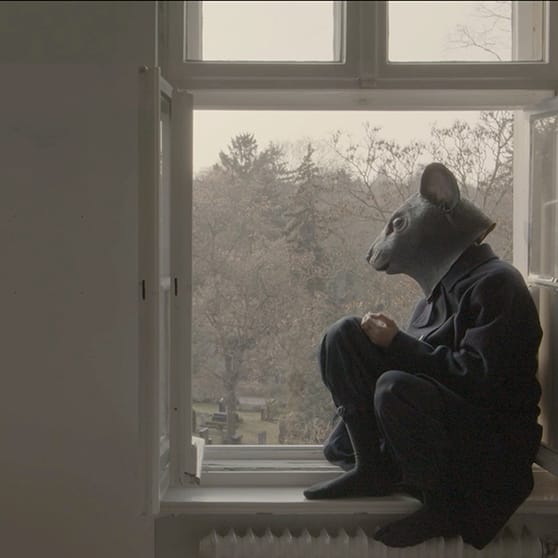 La tierra no será poseída