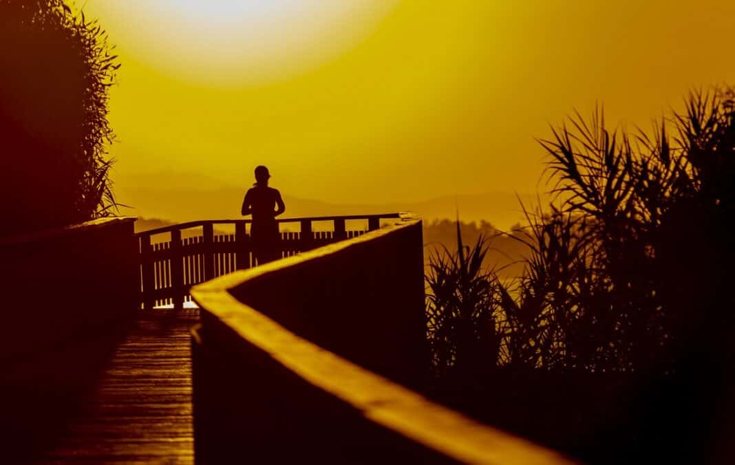 Maratón Jardín de la Costa del Sol