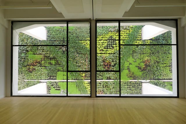 Visita al Jardín Vertical del Centro Cívico Tabacalera