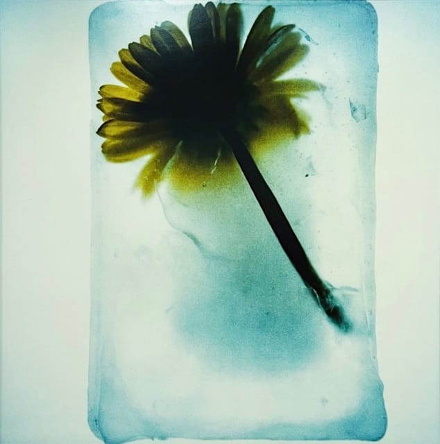 Fusco, exposición fotográfica