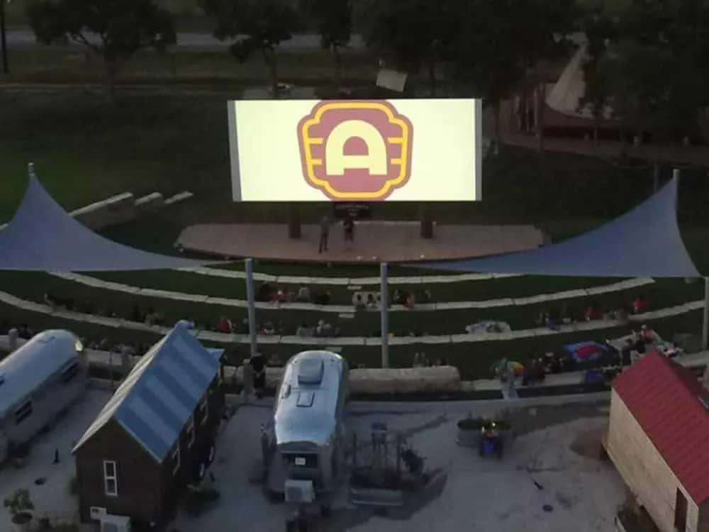 Community Cinema: The Sheep Detectives