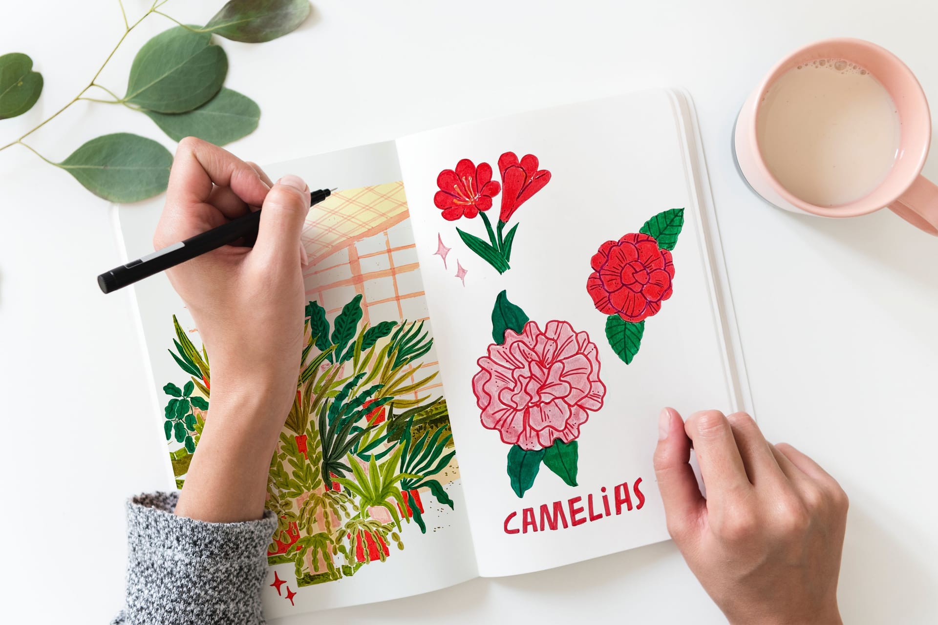 Taller creativo sobre José Suárez