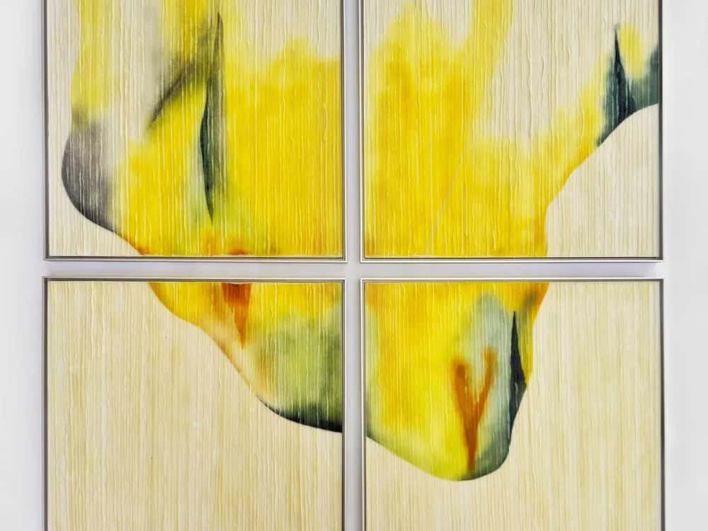 Malina Cipleu: Open Thresholds