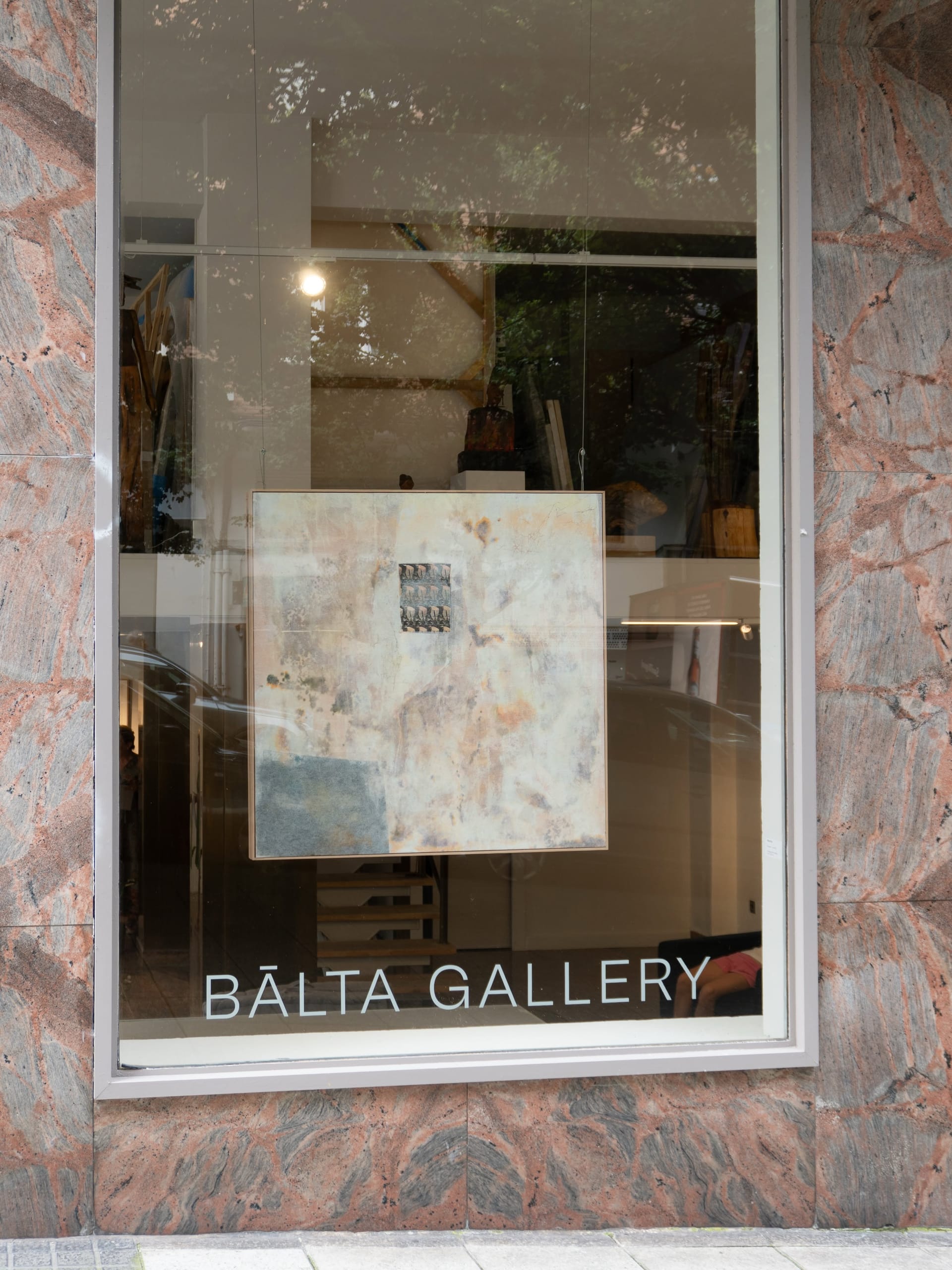 Visitas guiadas por Palo Pez a la exposición Entre las ramas