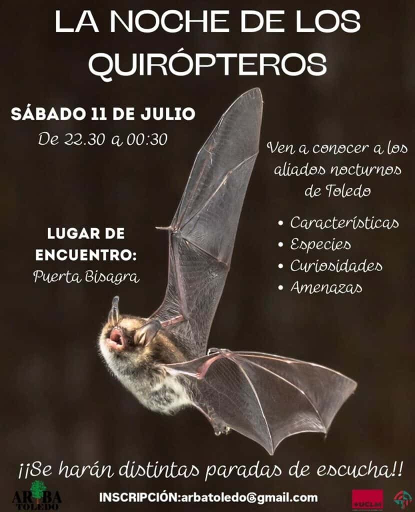La noche de los quirópteros
