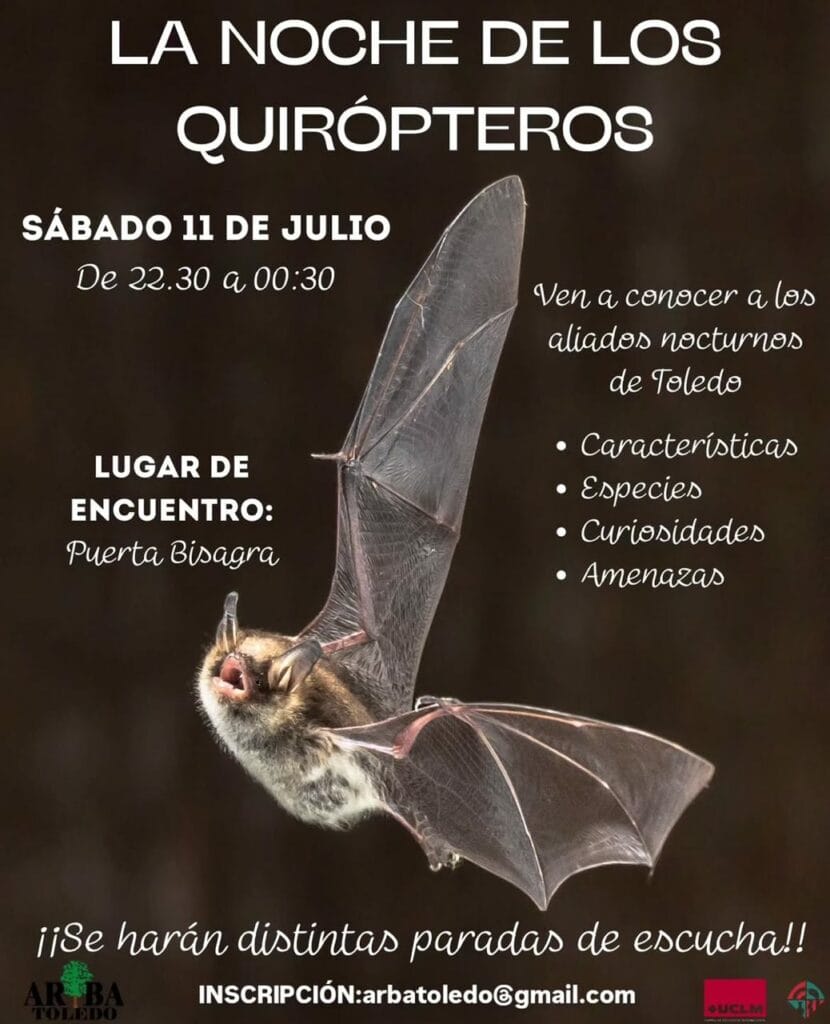 La noche de los quirópteros