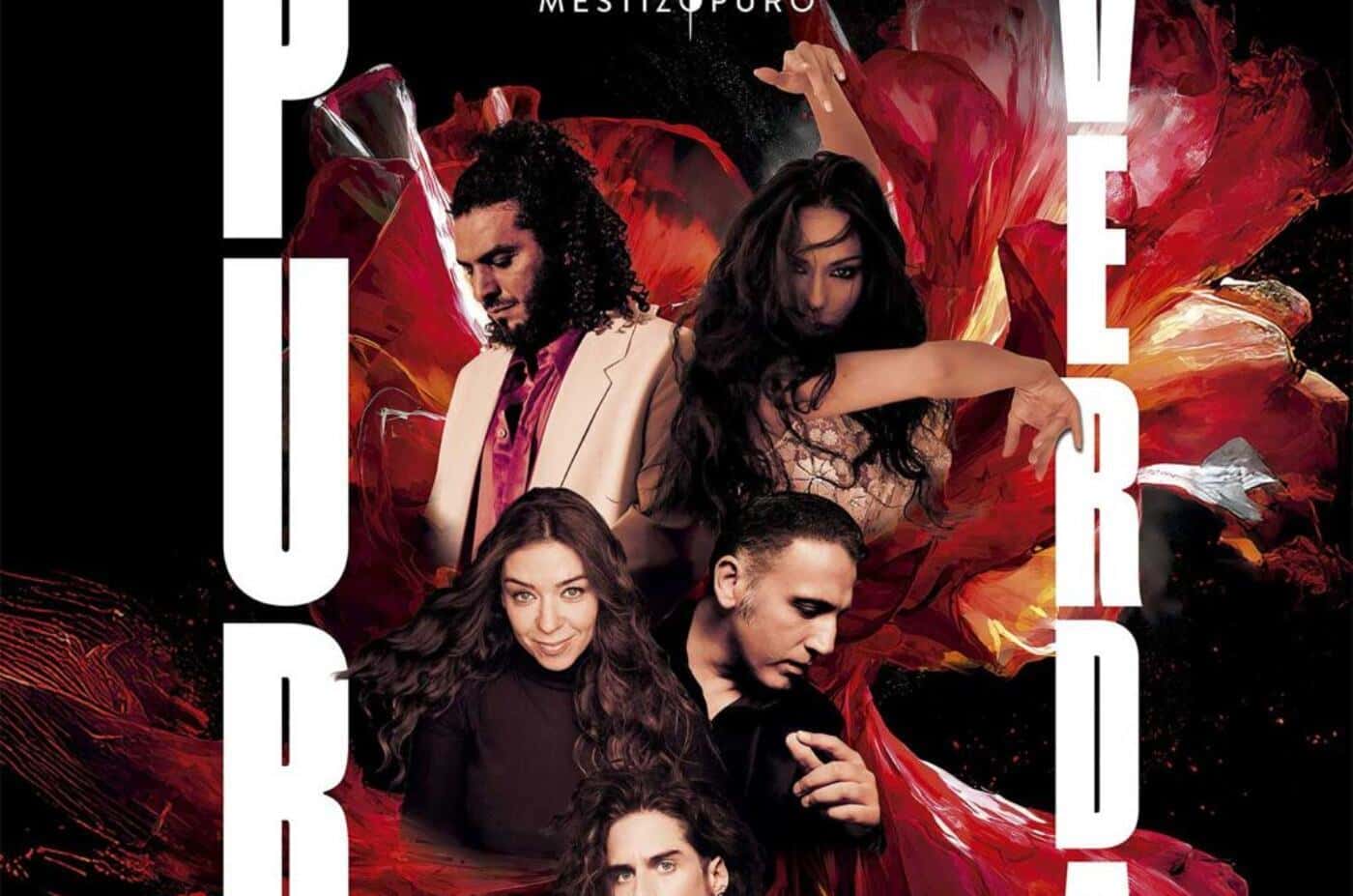 Pura Verdad Flamenco
