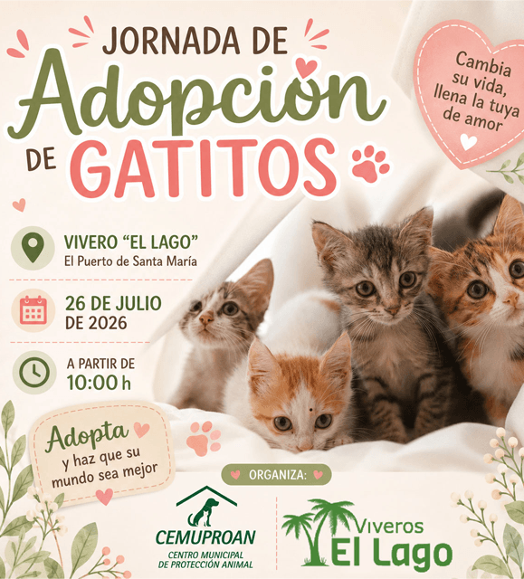 Jornada de adopción de gatitos