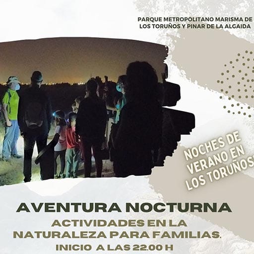 Aventura Nocturna en Los Toruños - Artrópodos: los duendes de la noche