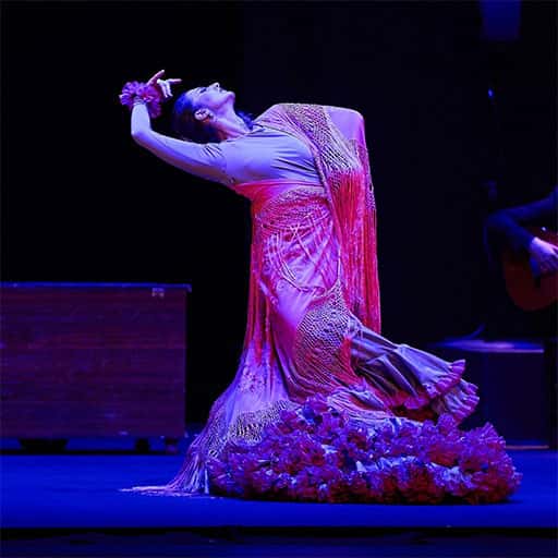 Flamenco en Tertulia Flamenca 'Tomás El Nitri'
