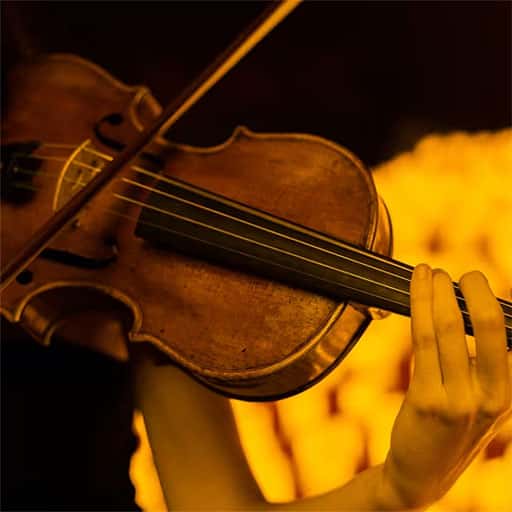 Candlelight Summer - Las cuatro estaciones de Vivaldi