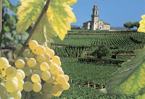 Ruta de O Ribeiro – Rías Baixas