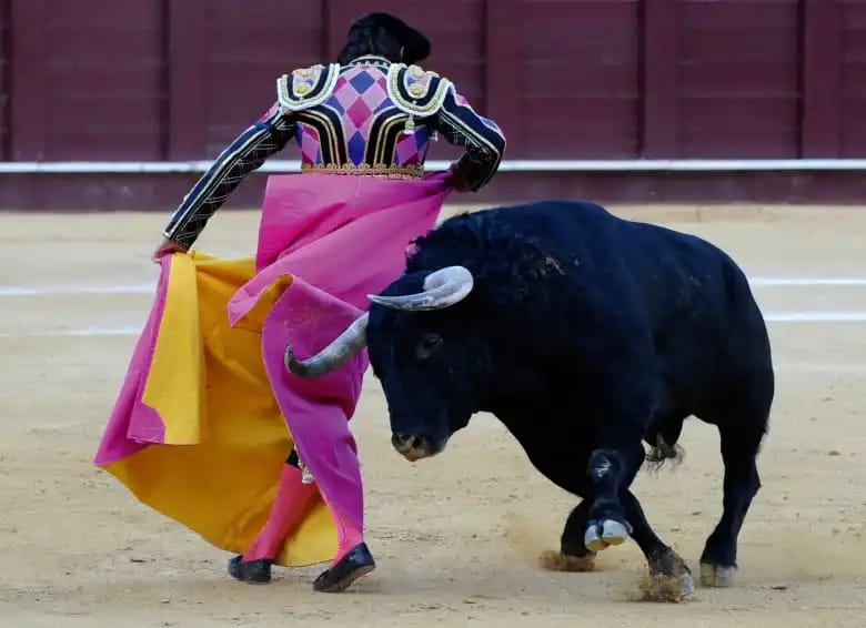 Corrida de toros - Fiestas Patronales de Móstoles