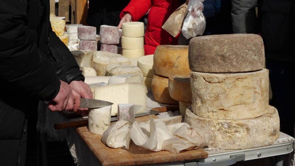 Fiesta del Queso 2026