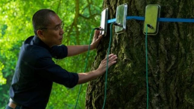 Encuentro con Paco Calvo - Ciclo Territorios mutantes