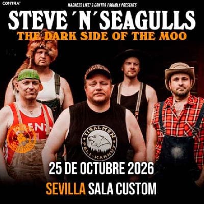 Steve 'n' Seagulls