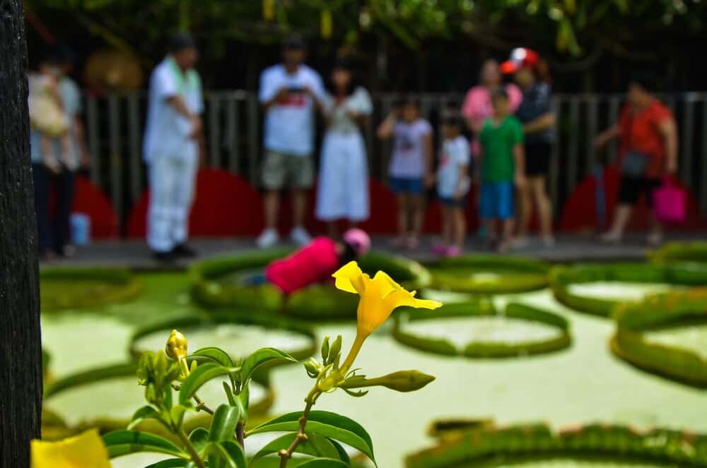 Verano cultural en el Jardín Botánico de Parla