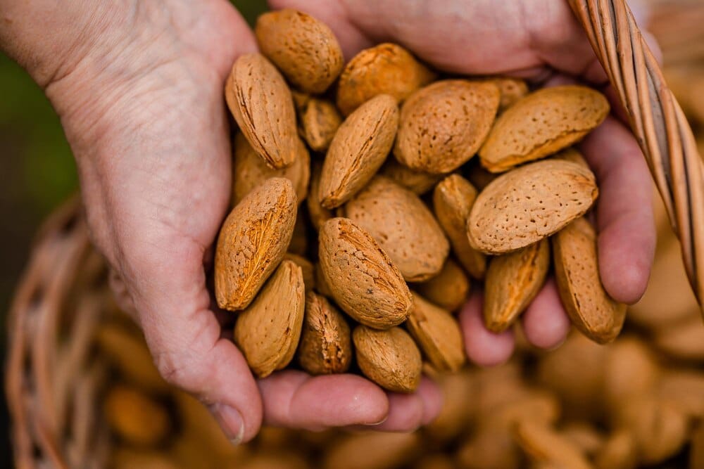El Día de la Almendra llega a Almogía el domingo 27