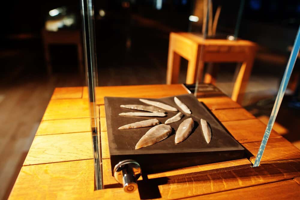 El arte plumario llega al Museo de Ciencias Naturales