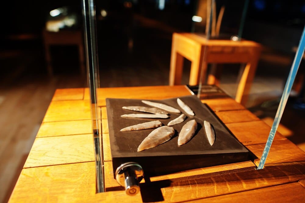 El arte plumario llega al Museo de Ciencias Naturales