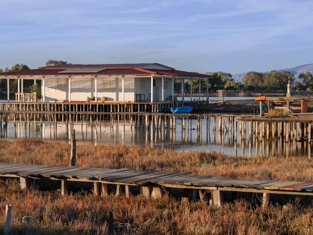 La Lonja: marisco con vistas a Doñana en Bajo de Guía