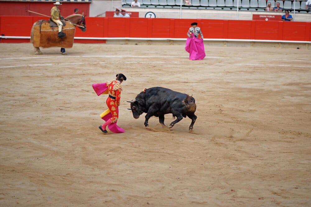 Niña Pastori y Oro Viejo en la Plaza de Toros