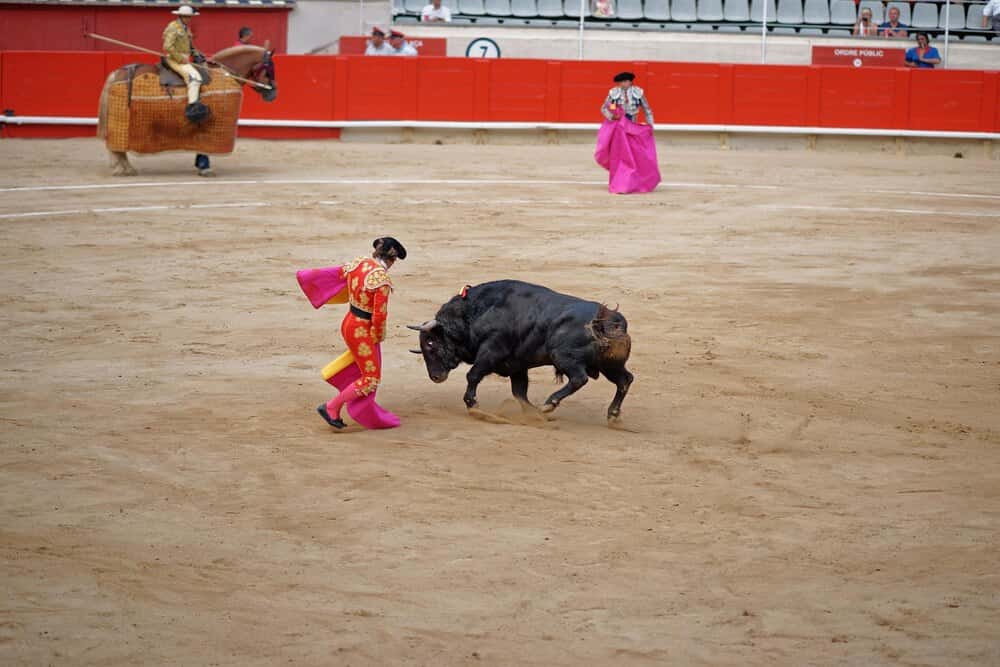 Real Feria de San Miguel - Festejo Taurino