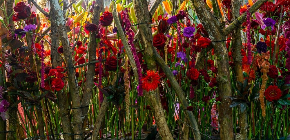 La botánica en el arte: el Prado en el CaixaForum